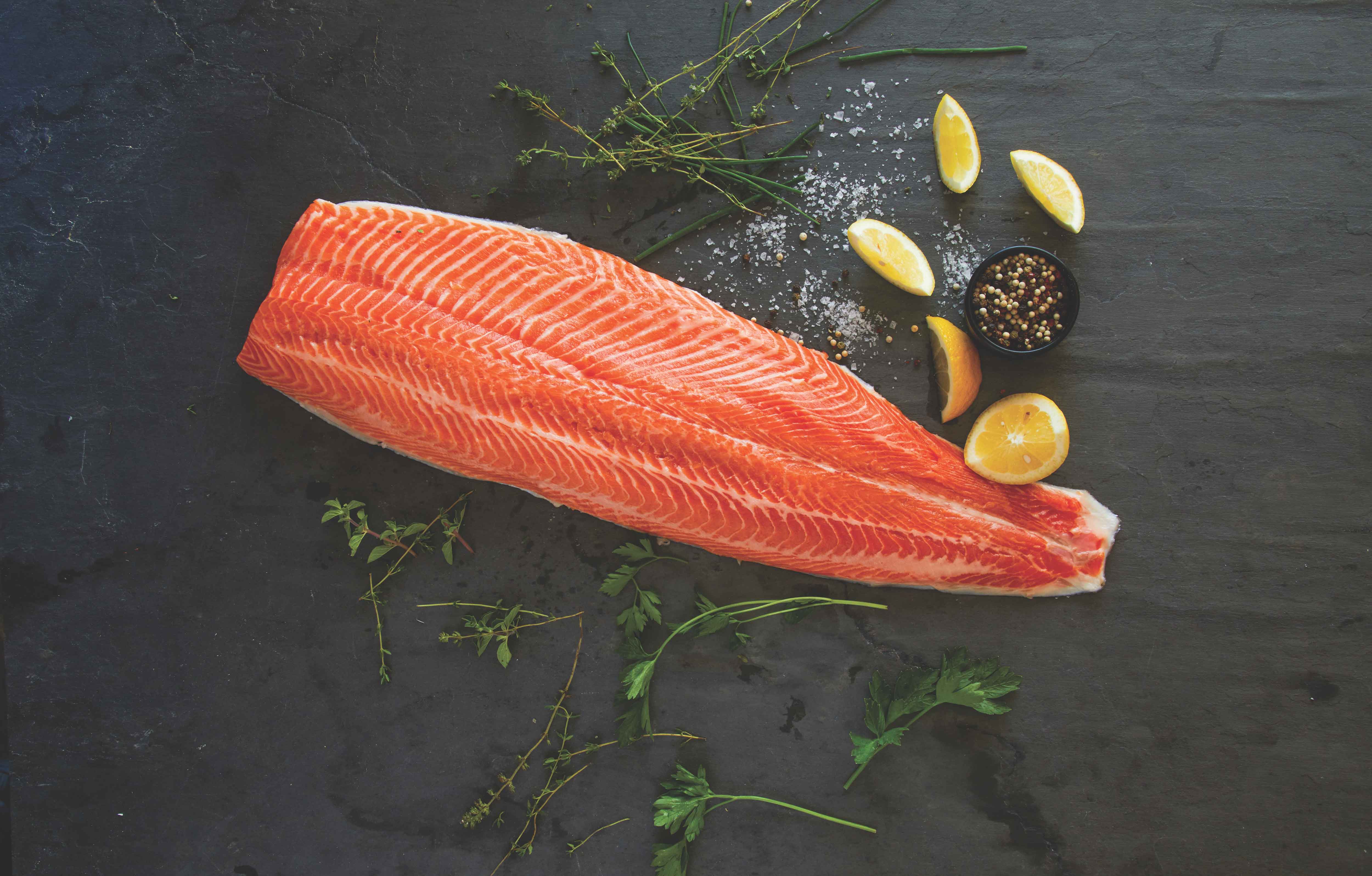 Fresh Loch Etive Steelhead Trout 
