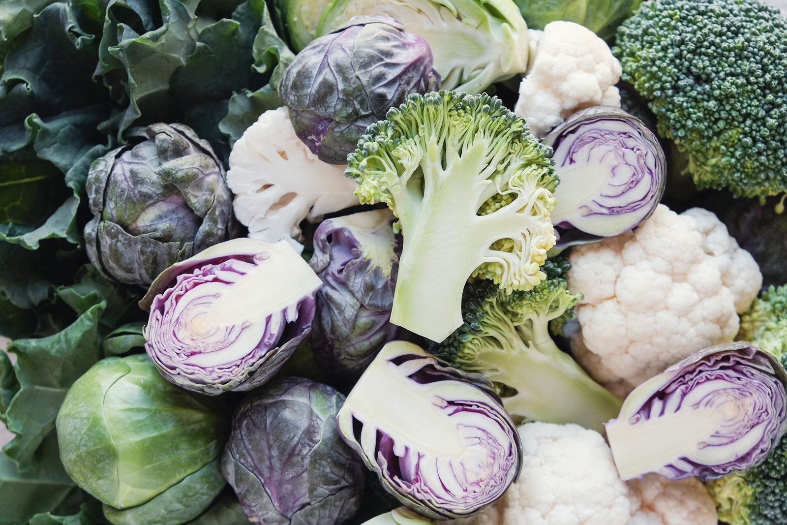 BF 101: Cruciferous Family