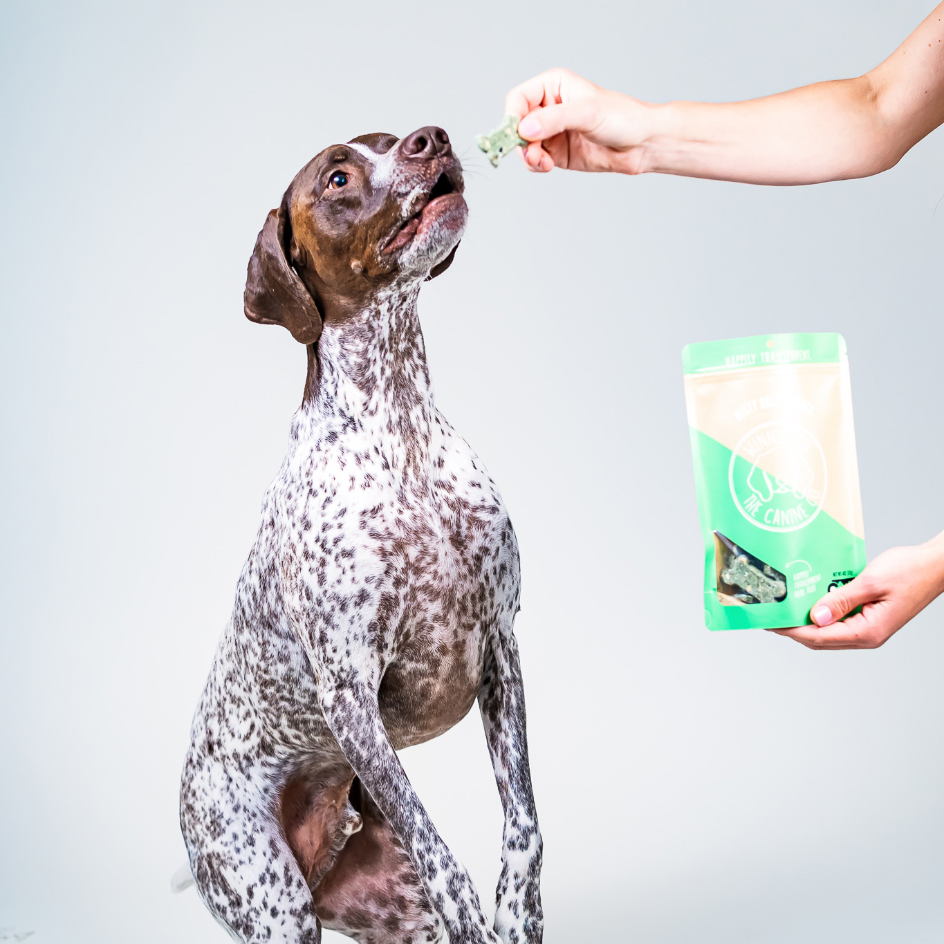 Dog getting a Winnie Lou treat