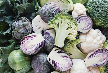 BF 101: Cruciferous Family