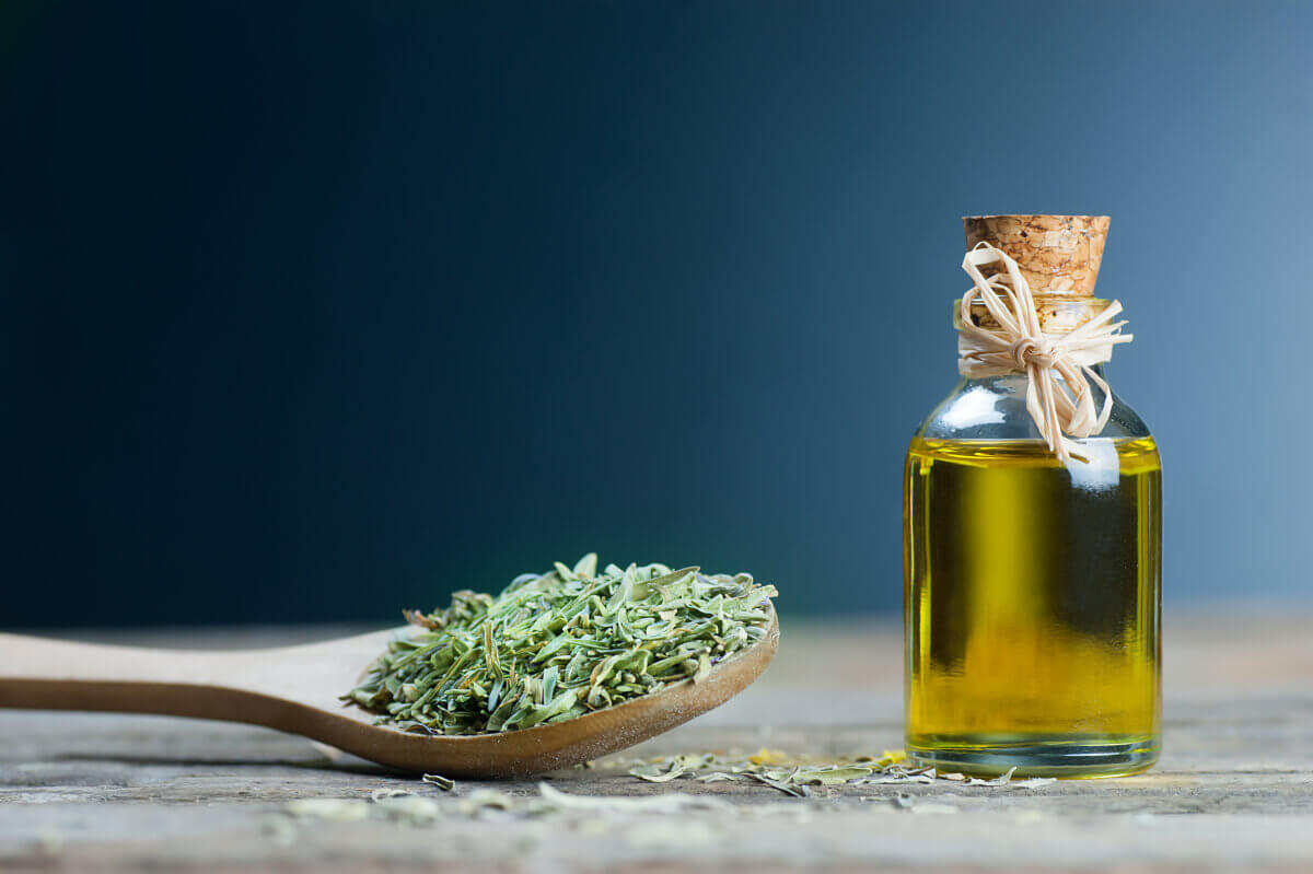 spoonful of oregano and bottle of oregano oil