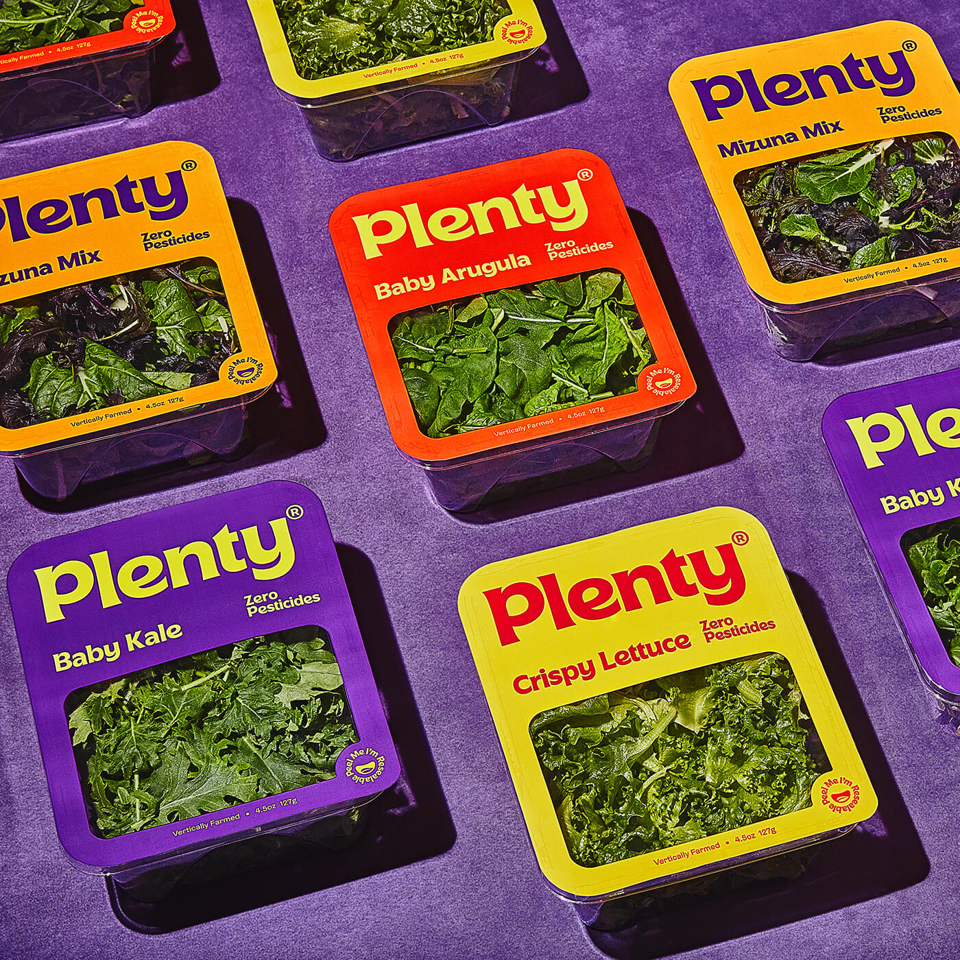 boxes of Plenty salad mixes