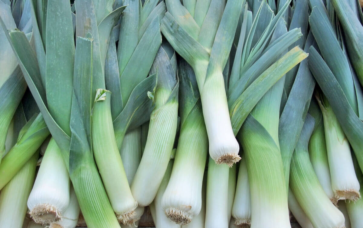 Cut Leeks