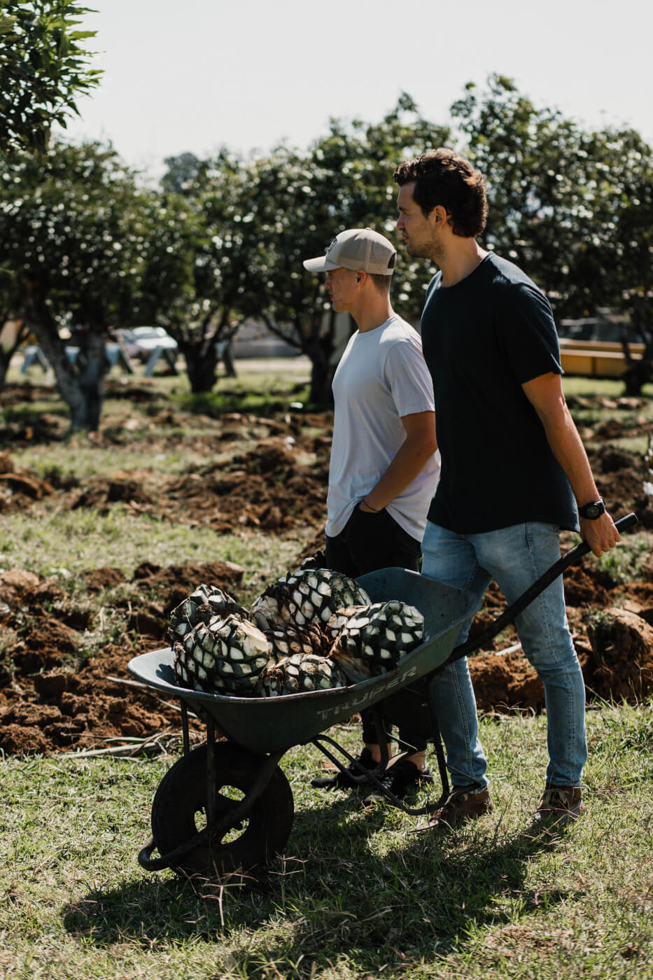 Michael and Carlos walking with a wheelbarrow